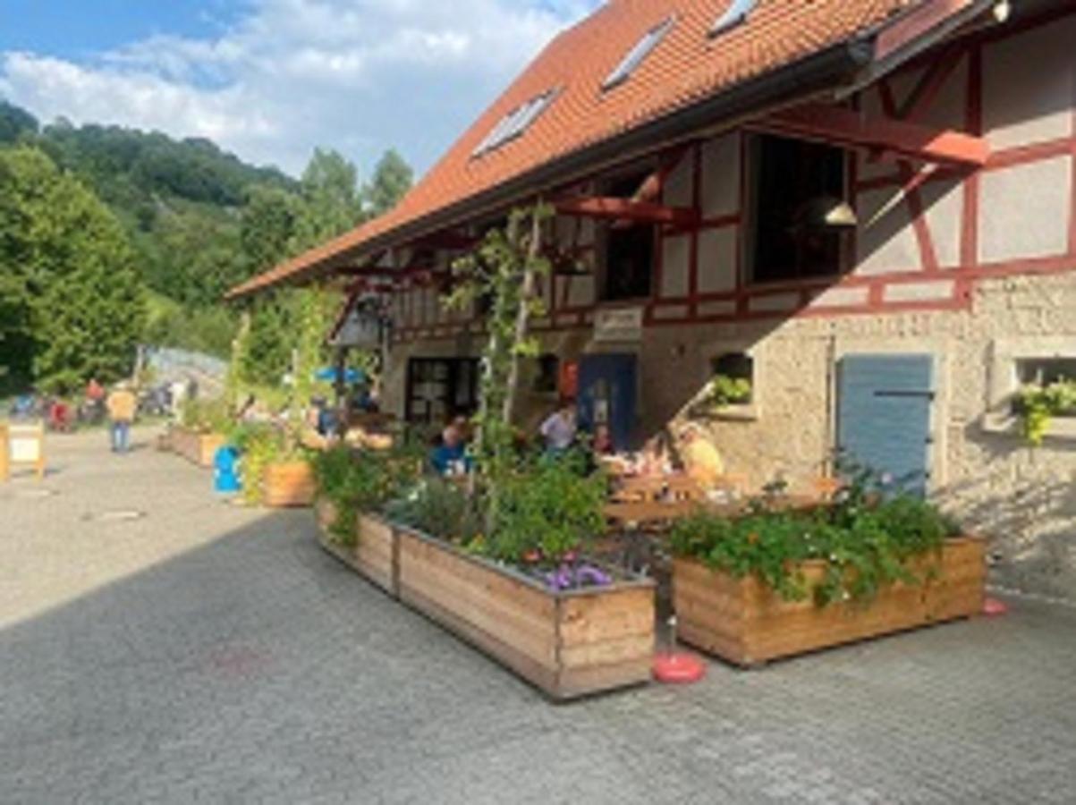Gasthaus Holdermuehle Creglingen Kültér fotó