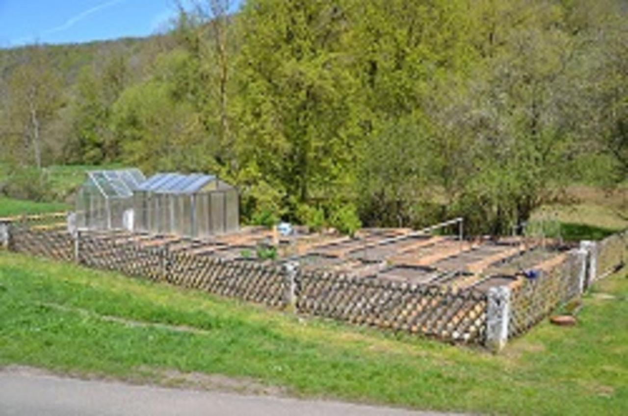 Gasthaus Holdermuehle Creglingen Kültér fotó