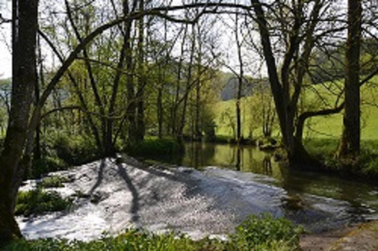 Gasthaus Holdermuehle Creglingen Kültér fotó